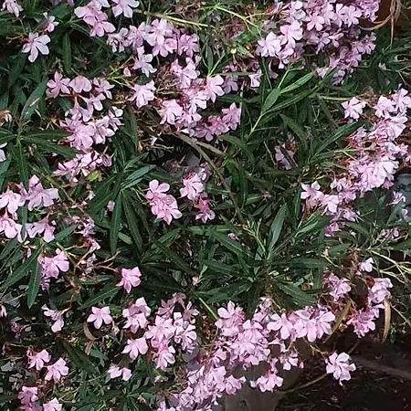 Bed & Breakfast 4 Stagioni