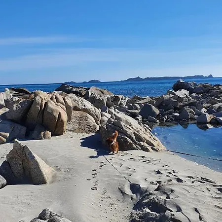 Bed & Breakfast 4 Stagioni *