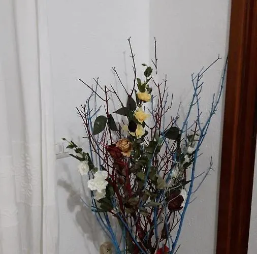 Alojamento de Acomodação e Pequeno-almoço 4 Stagioni 3*