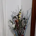 לינה וארוחת בוקר 4 Stagioni 3*