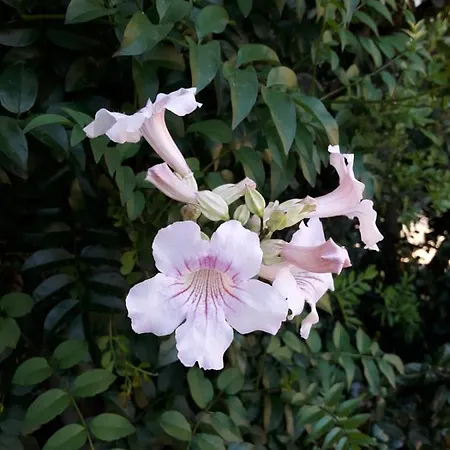 4 Stagioni Villasimius