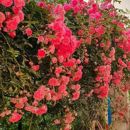 Bed and breakfast 4 Stagioni *