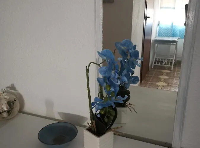 4 Stagioni לינה וארוחת בוקר