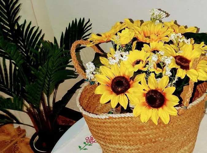 4 Stagioni 维拉西米乌斯