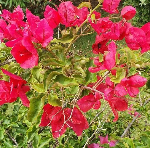 Bed & Breakfast 4 Stagioni 3*