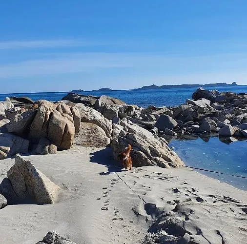 住宿加早餐酒店 4 Stagioni 3*